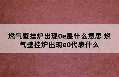 燃气壁挂炉出现0e是什么意思 燃气壁挂炉出现e0代表什么